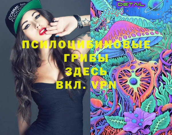 молекула духа Нея