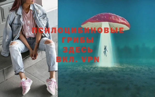 круглые Алексин
