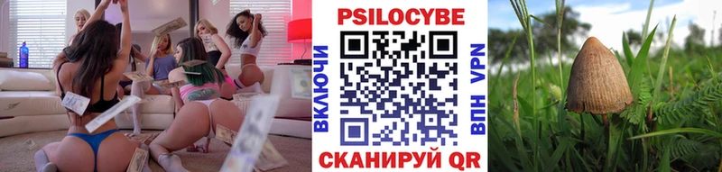 купить  сайты  Трубчевск  Псилоцибиновые грибы ЛСД 